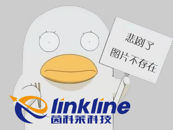 杜洛克豬